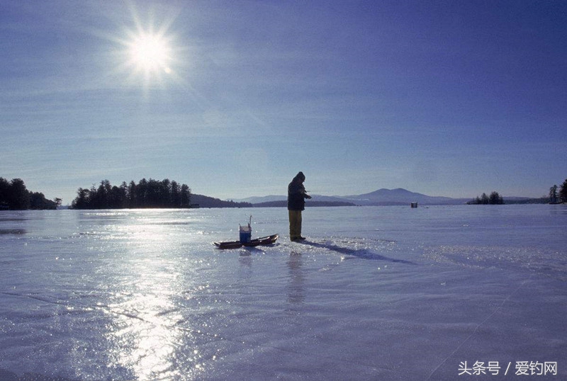 钓鱼老技巧,钓鱼的技巧和经验视频