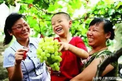 西吉，你变了！变得让人不认识了！