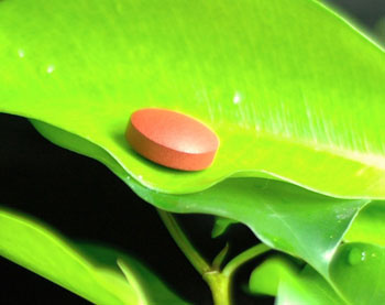 叶酸片在饭前还是饭后吃很多新手孕妈不知道男性也要服用叶酸