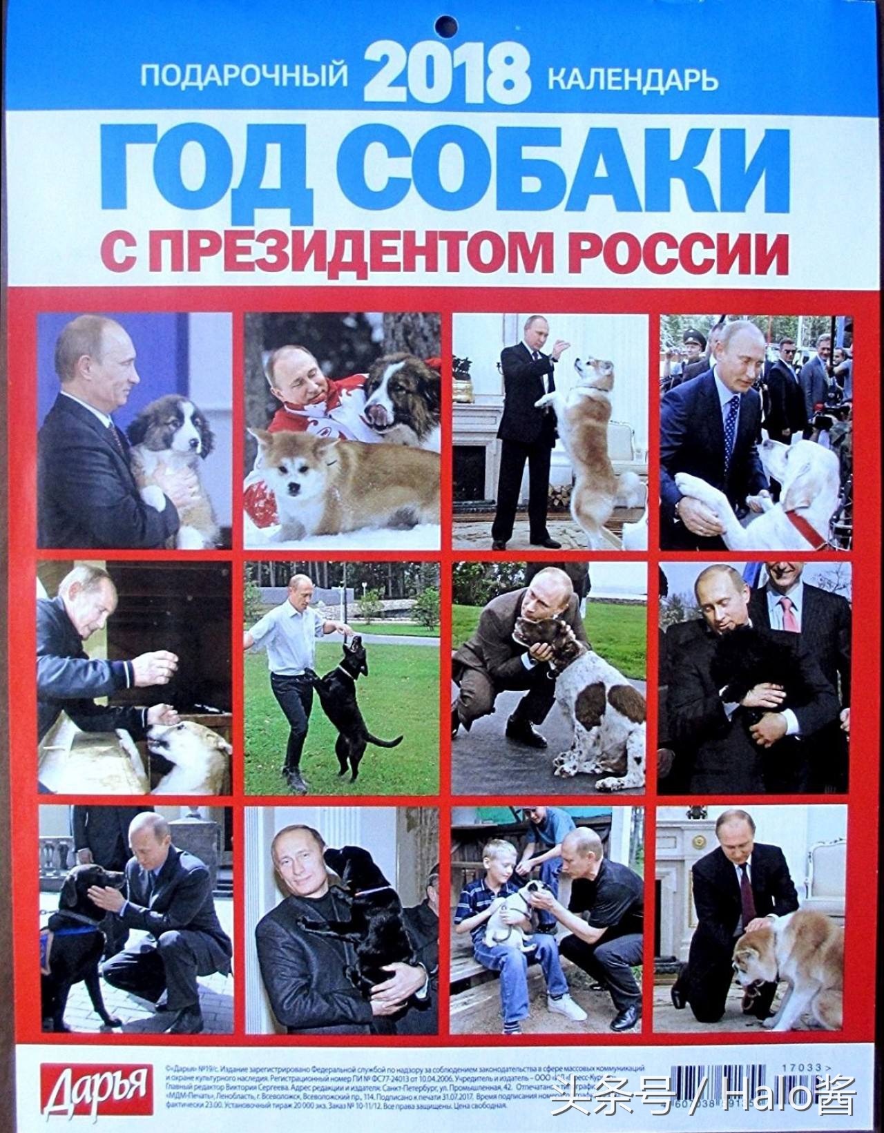 普京的所有狗狗照片,普京和他的柴犬