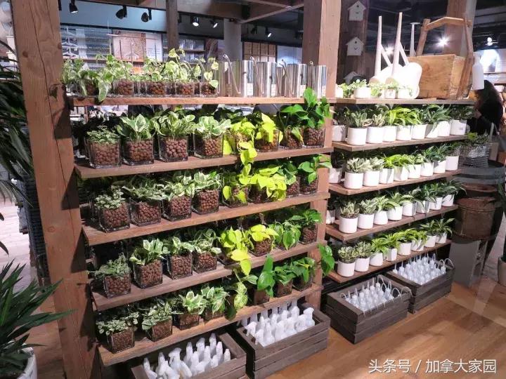 "MUJI北美旗舰店"在温哥华Downtown开业:面积是Metro的一倍!