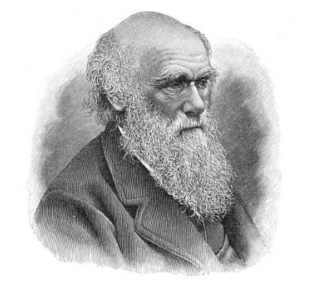 寒武纪有哪些奇怪的生物,寒武纪生物大爆发最主要特征