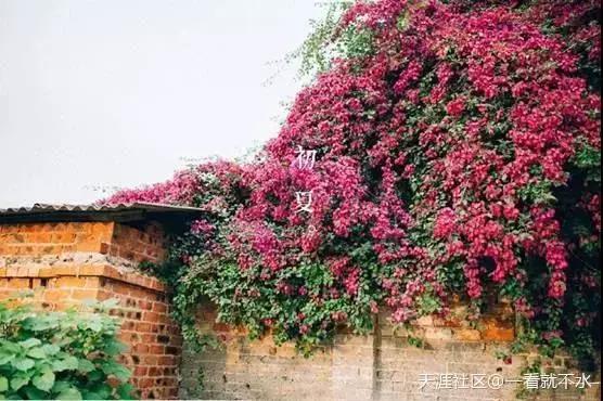 南宁婚纱摄影景点,南宁婚纱样片