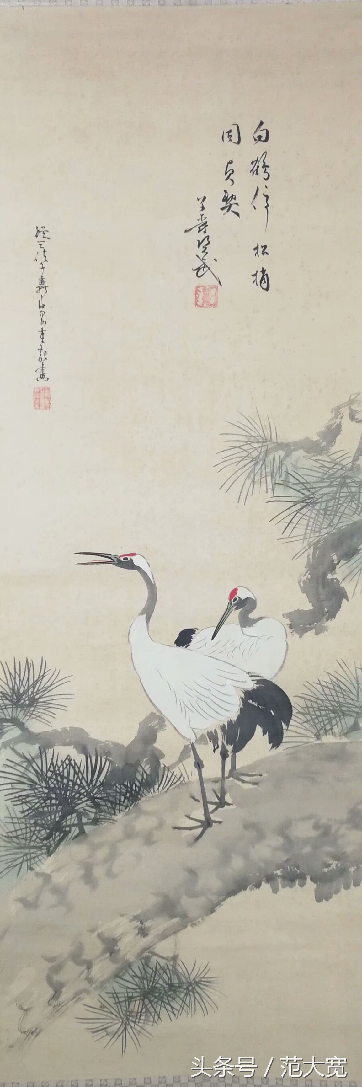 日本画师画仙鹤,仙鹤画作讲解