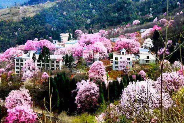 收藏！西成高铁12月6日开通，青白江人的独家攻略来啦！