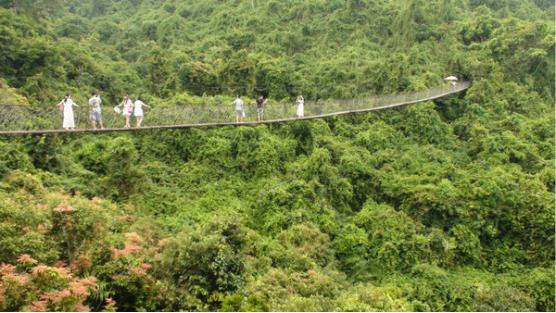 三亚吃喝玩乐亲身攻略——两匹北方的大姑娘吃喝玩乐在三亚