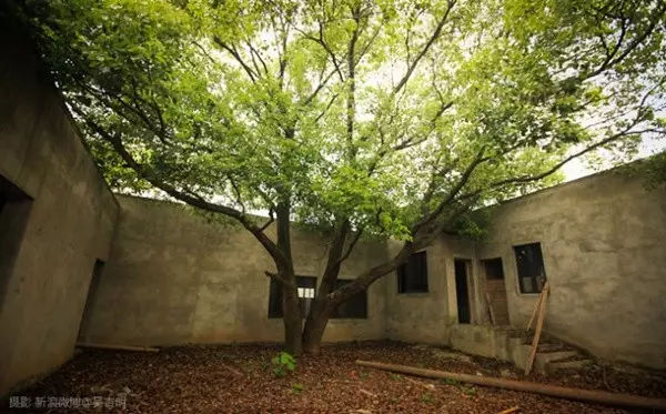 最成功的文旅小镇,只一眼就让你爱上一座城市