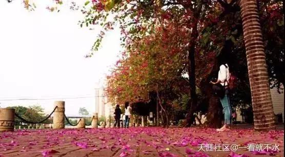 南宁婚纱摄影景点,南宁婚纱样片