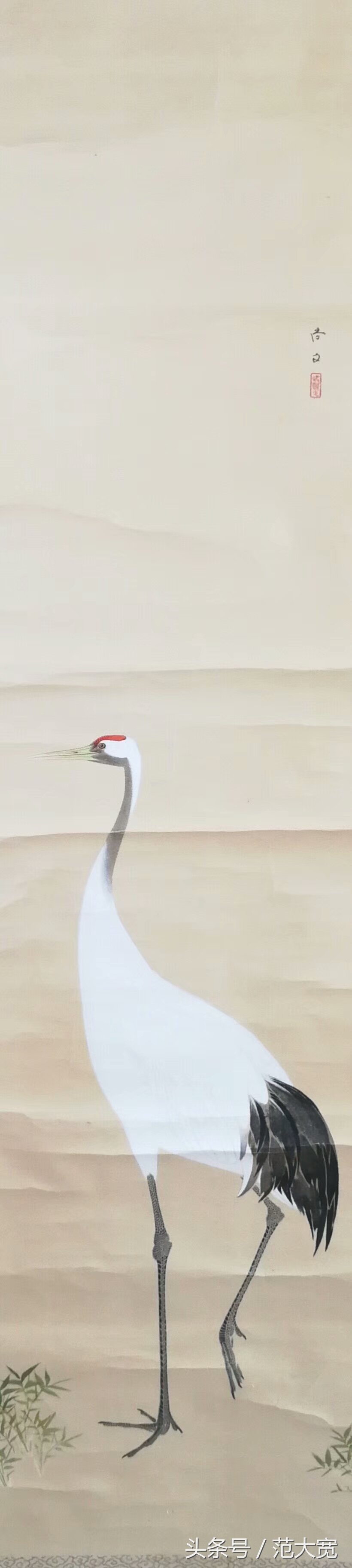 日本画师画仙鹤,仙鹤画作讲解