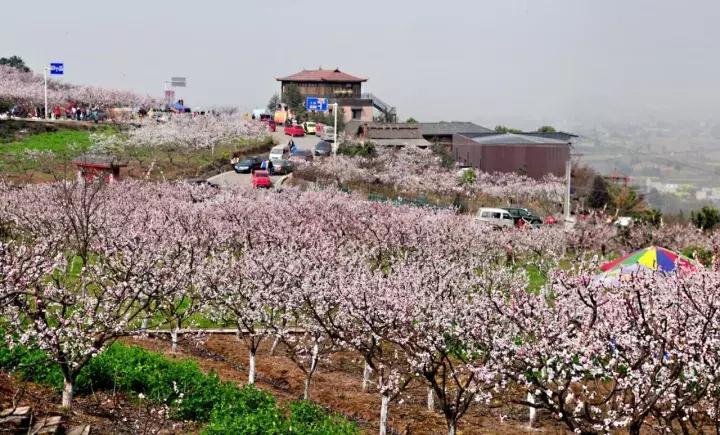 收藏！西成高铁12月6日开通，青白江人的独家攻略来啦！