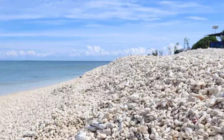 只对中国人开放的岛,只对中国人开放的沙漠