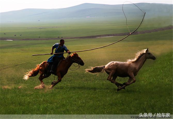 八年的霸道卖28万?不愧是“烂路王”,买家卖家都值了