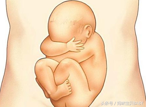 怀孕五个月的胎儿多大了？如何应对孕期疼痛