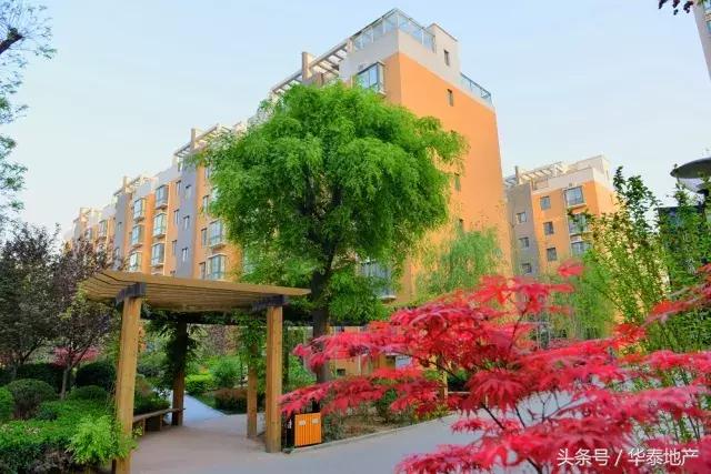 这样的西华泰，谁敢住！