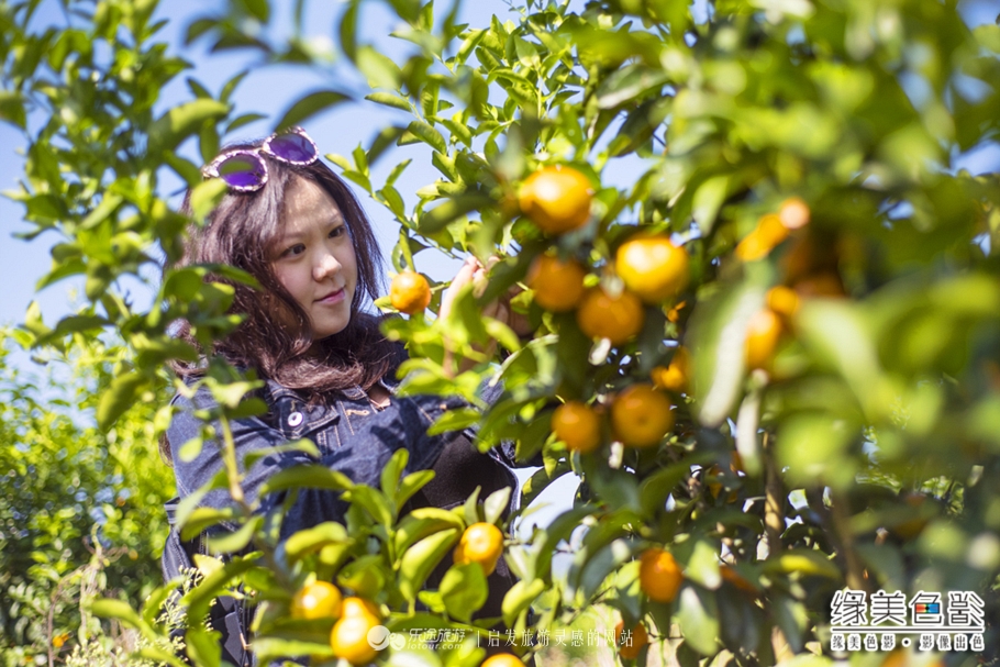韶关新丰山间小溪自然风景,新丰最美景点