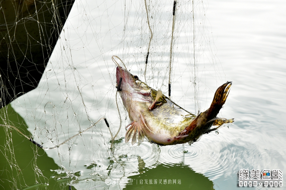 韶关新丰山间小溪自然风景,新丰最美景点