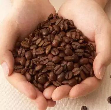 十大口碑最好的咖啡第一名,中国产的咖啡排行榜前十名