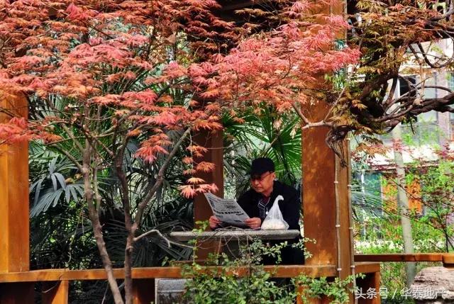 这样的西华泰，谁敢住！