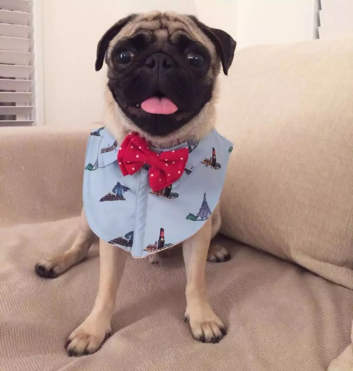 泰国必须打卡的美食,泰国旅游美食还少不了冬阴功汤