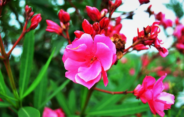 男友冷*力暴**了该怎么办