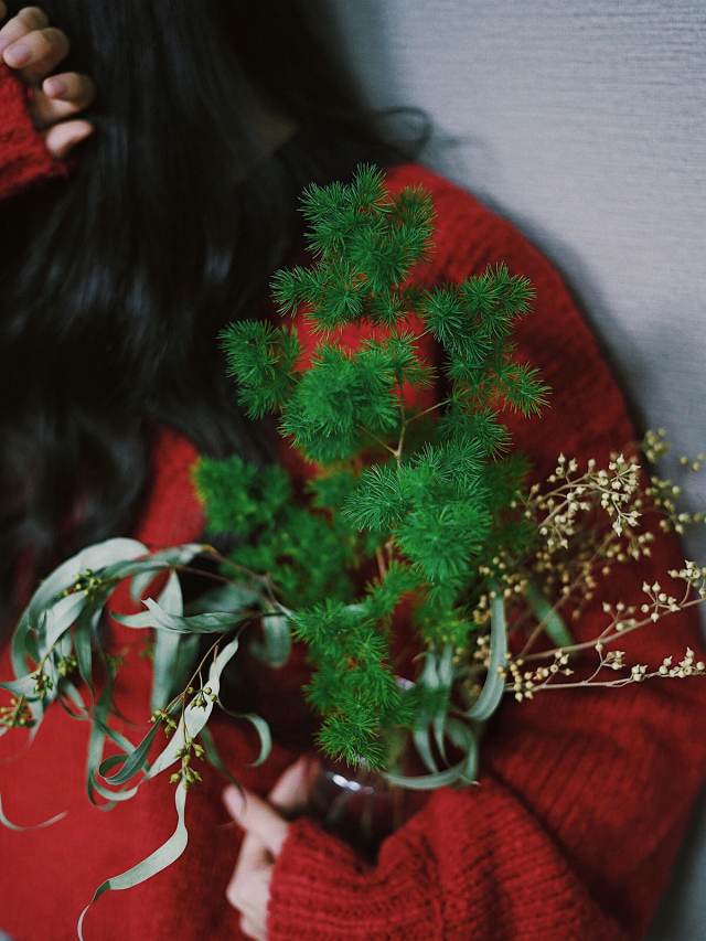 收藏陶瓷花瓶,实用插花技巧书籍推荐