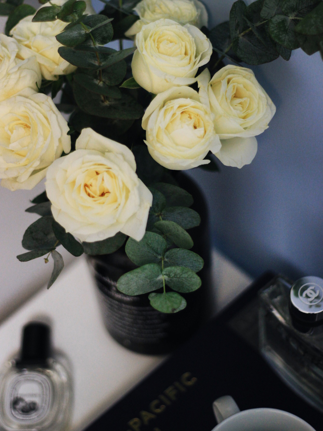 收藏陶瓷花瓶,实用插花技巧书籍推荐