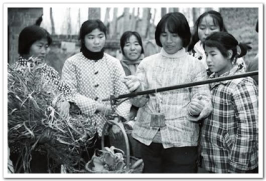 风风火火创业,风风火火干事业