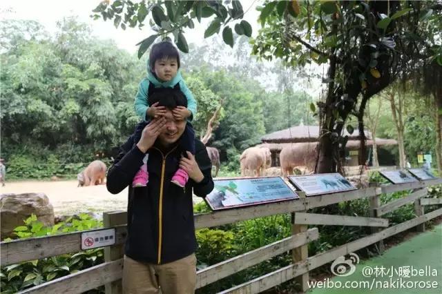 两大一小广州长隆亲子游攻略,最新广州长隆带娃游玩攻略2天