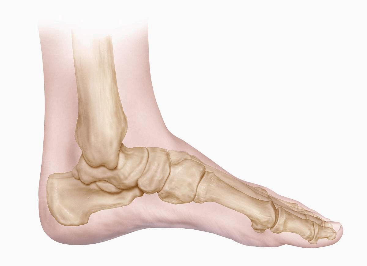 不要等受伤了才又把我想起,不要等受伤再使用护膝