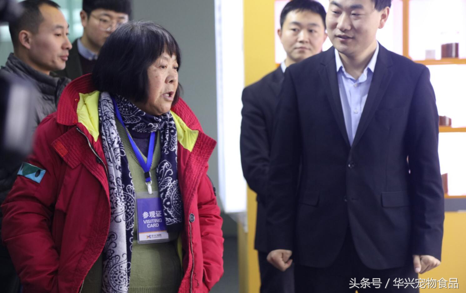 老人救助流浪狗20年,老奶奶收留50只流浪狗坚持了33年