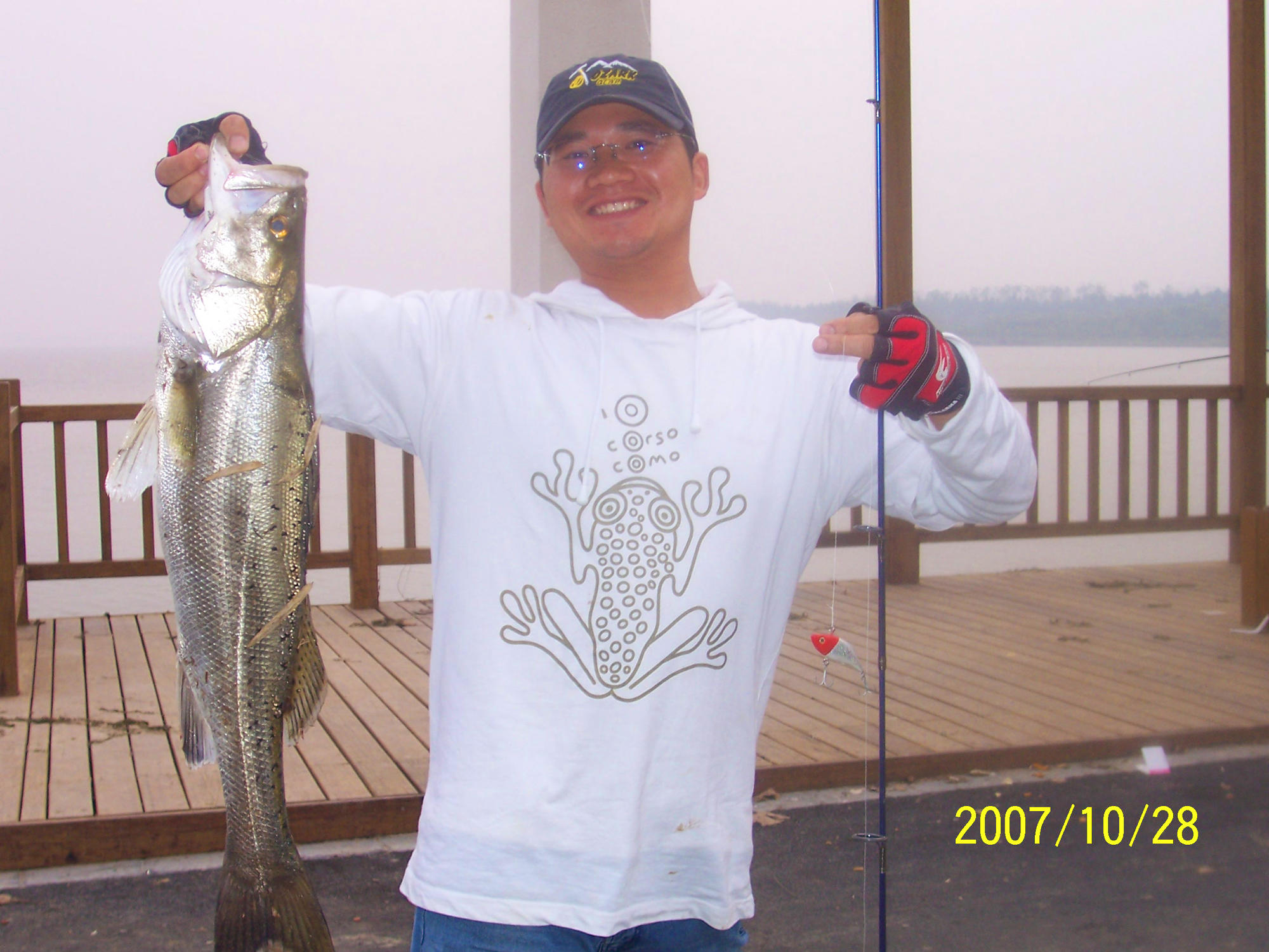 那件疯狂的小事叫爱情粤语,那件疯狂的小事叫爱情