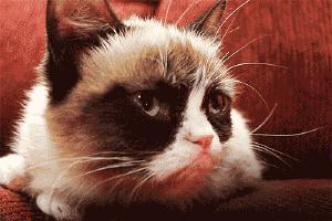 漫漫护肤路，谁还没交过好几千的学费？