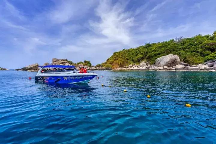 泰国芭提雅什么岛好玩,泰国竹子岛好玩吗