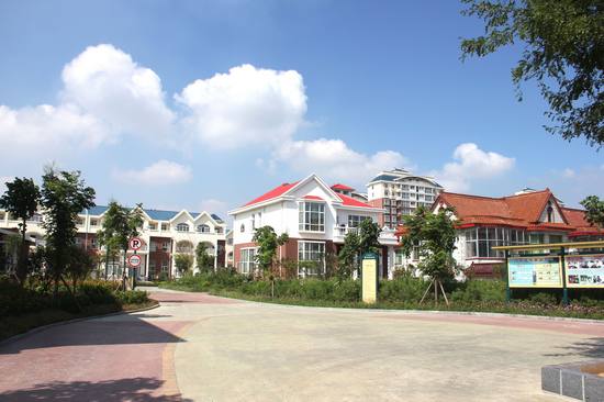 临沂最富的10个村,临沂两县上榜全国示范县