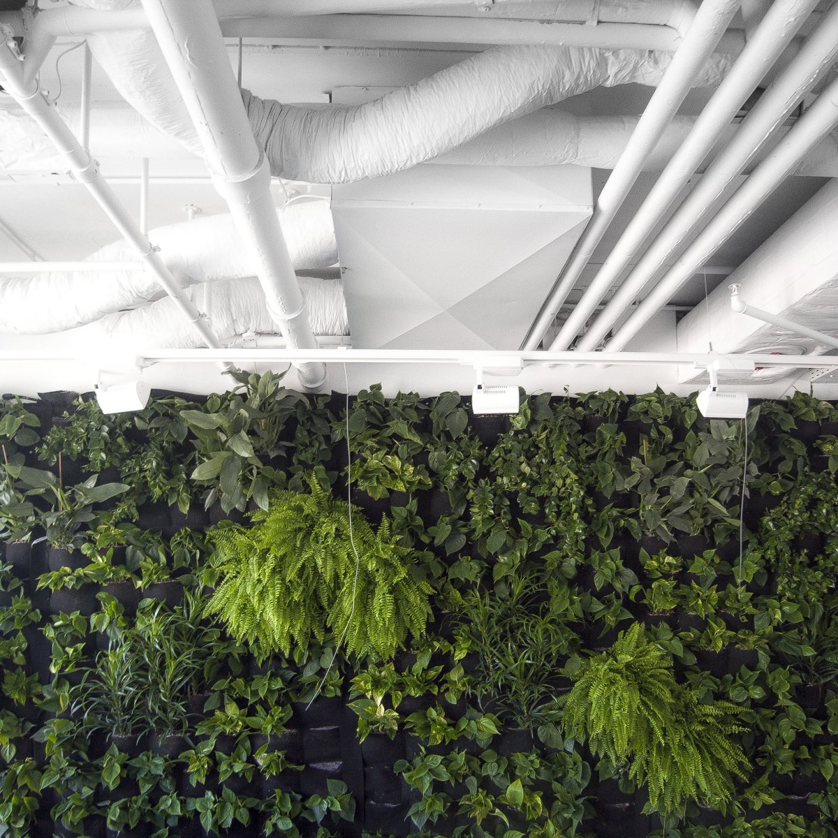 涓滆帪鍗氱厹瑁呴グ,闅愬舰鐪奸暅瑁呬慨璁捐