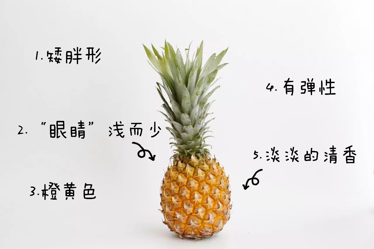 怎么区分菠萝跟凤梨的小窍门,菠萝凤梨的区别菠萝是怎么长成的