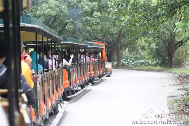 两大一小广州长隆亲子游攻略,最新广州长隆带娃游玩攻略2天