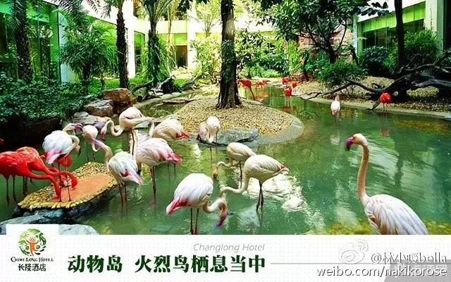 两大一小广州长隆亲子游攻略,最新广州长隆带娃游玩攻略2天