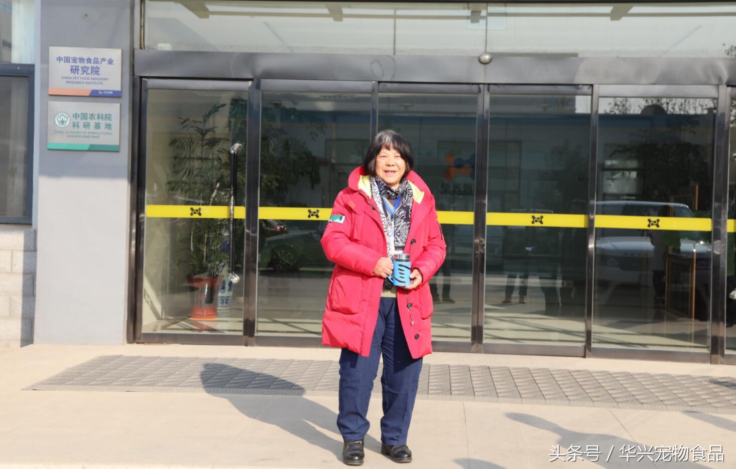 老人救助流浪狗20年,老奶奶收留50只流浪狗坚持了33年