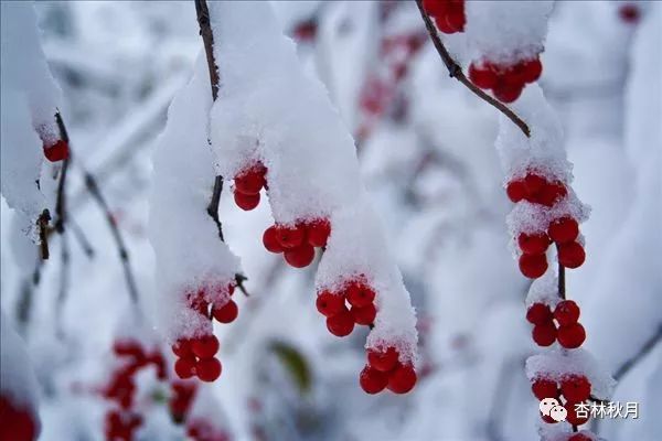 冬天养阴最好的方法,冬天吃什么养阴润燥