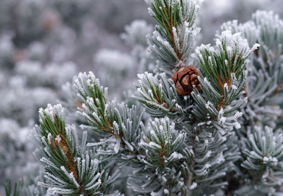 冬天养阴最好的方法,冬天吃什么养阴润燥