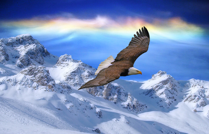 长时间被领导威胁应该怎么处理,被领导打击后怎么反击