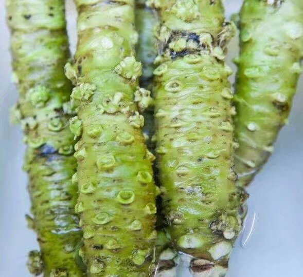 最贵蔬菜排行榜前十名,最贵蔬菜300元一斤