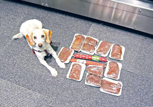 出国旅游常用药有哪些不能带,出国可以带一些必备药吗