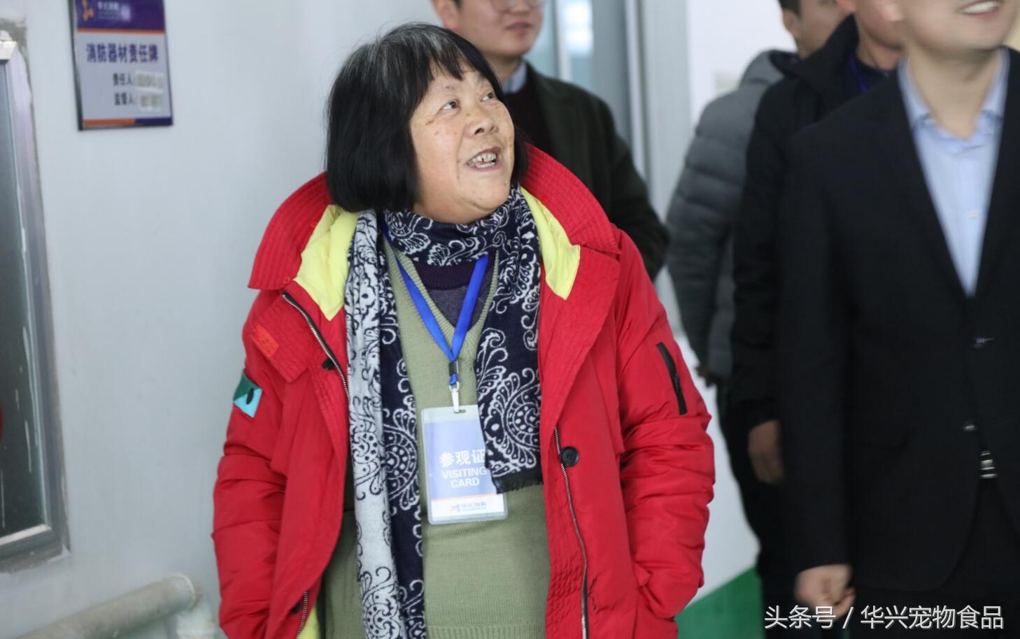 老人救助流浪狗20年,老奶奶收留50只流浪狗坚持了33年