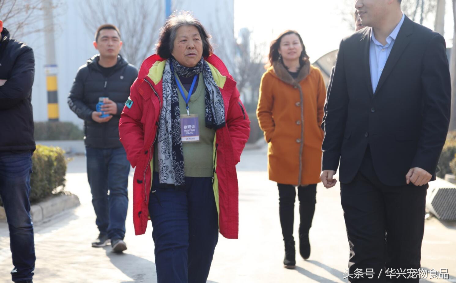 老人救助流浪狗20年,老奶奶收留50只流浪狗坚持了33年