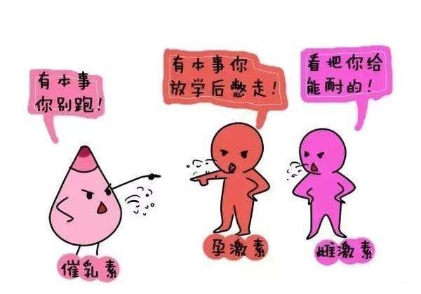 怀孕后这些检查千万不能遗漏产房人员的建议