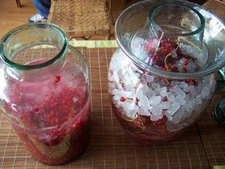 酵素和果醋有什么区别,酵素和果醋