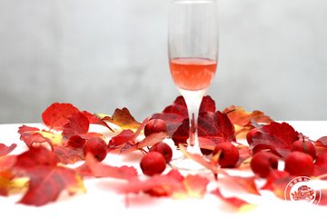 酵素和果醋有什么区别,酵素和果醋