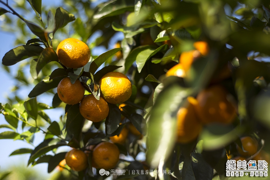 韶关新丰山间小溪自然风景,新丰最美景点